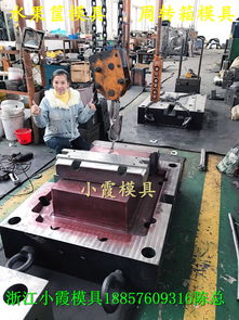 塑膠模具 奇異果藍子模具 火龍果藍子模具 檸檬藍子模具